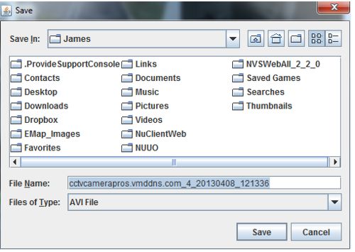 Viewtron Remote Export Instructions