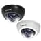 Mini IP Dome Camera | Vivotek-FD8136